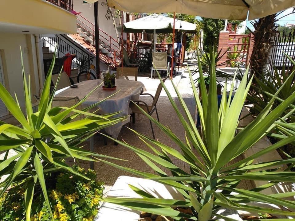 Blue Moon Apartments نيا ميشانيونا المظهر الخارجي الصورة