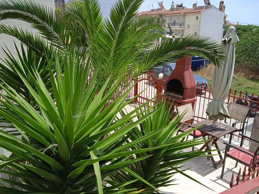 Blue Moon Apartments نيا ميشانيونا الغرفة الصورة