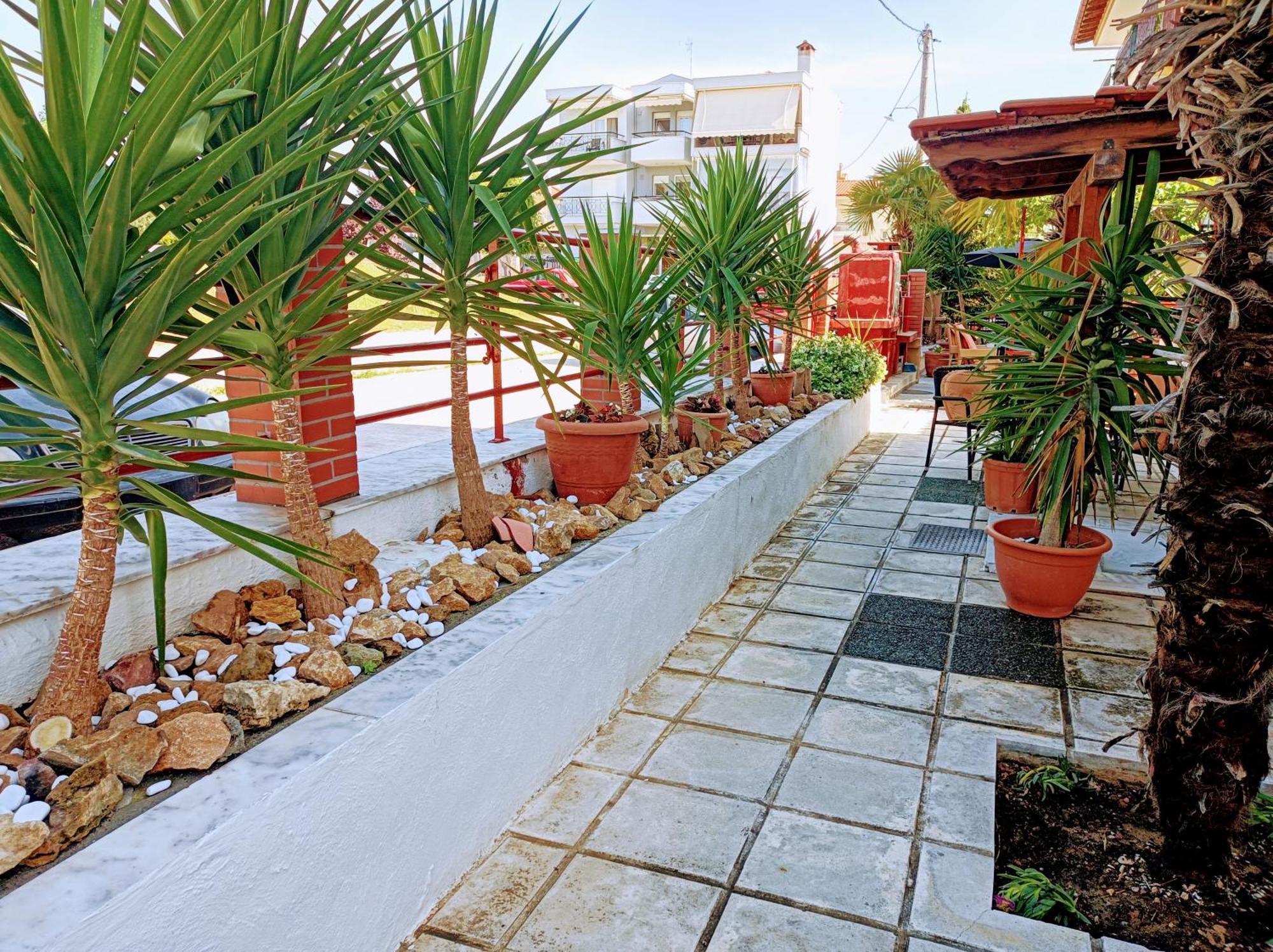 Blue Moon Apartments نيا ميشانيونا الغرفة الصورة